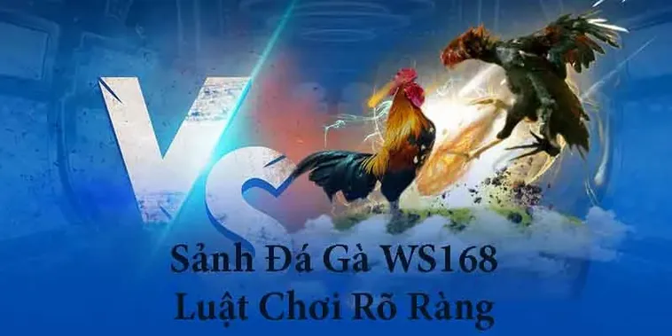 Chiến Thuật Cách Chơi Đá Gà WS168 Tại 988Bet Hiệu Quả Nhất Hiện Nay