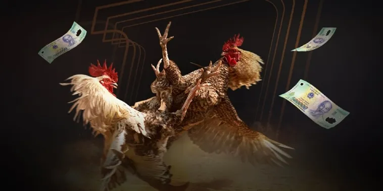 Trải Nghiệm Cá Cược Đá Gà 988Bet Đỉnh Cao Nhận Thưởng Lớn Mỗi Ngày